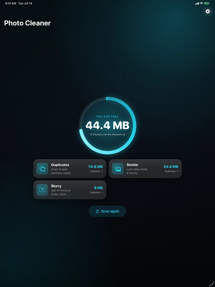 Pixweep: Photo Cleaner — A schermo intero su iPad