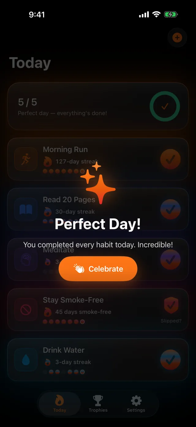 Habit Streak: Habits Tracker — Una giornata perfetta — ogni abitudine spuntata, l'intera griglia che brilla.